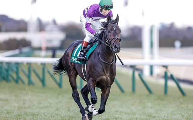 【関屋記念想定】今年の東京新聞杯を制したイルーシヴパンサー、一昨年のホープフルS覇者ダノンザキッドなど18頭