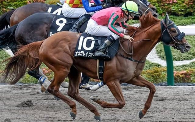 【エルムS予想】前哨戦が結果に直結!? コースがわりも波乱誘発の要因か