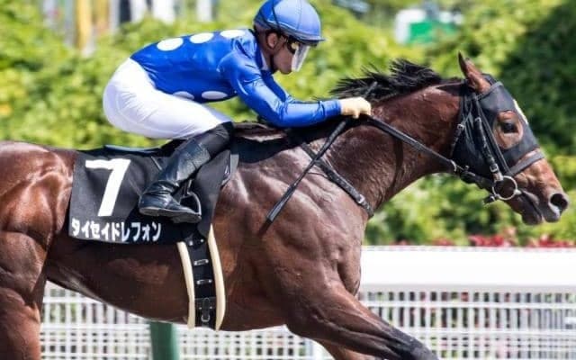 【今日の注目ポイント】新潟でレパードS、札幌ではエルムS