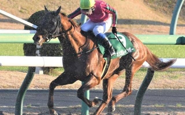 【エルムS予想】数少ない夏のダート戦、人気馬の実力信頼