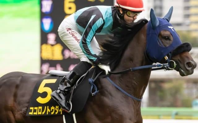 【次走】ココロノトウダイは新潟記念で復帰　半姉は先日引退のフェアリーポルカ