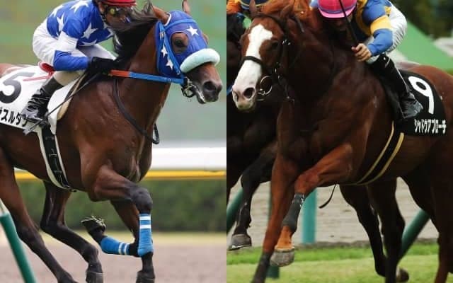 【POGデビュー情報】祖母はマイル重賞馬、従兄はミュゼスルタン　ヴェルテンベルクが日曜小倉で初陣