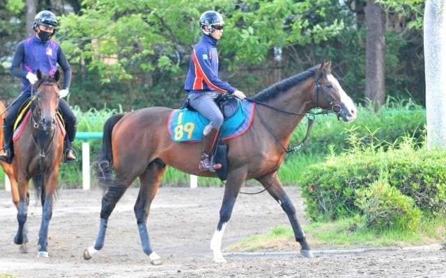 近親にタワーオブロンドン、ディーマジェスティなど サスツルギがC.ルメール騎手でデビュー/関東馬メイクデビュー情報