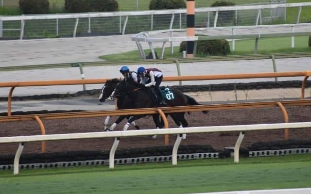 母系にダート3勝馬 ニシノコウダイが小倉の芝1200mでデビュー/関西馬メイクデビュー情報