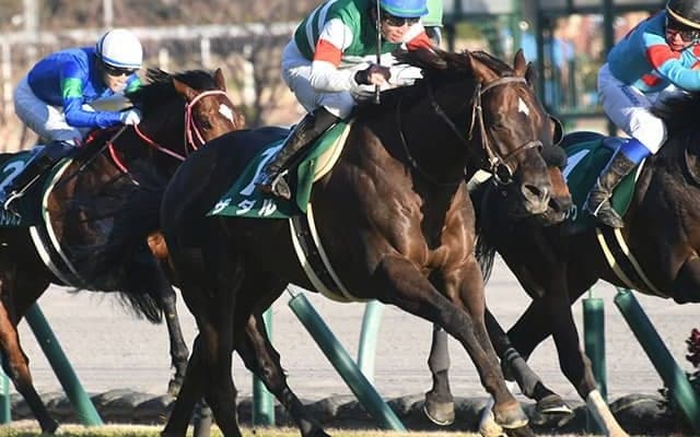 【AI予想・関屋記念】人気なくともポテンシャルは確か!? 侮れない「重賞2勝」の実績馬