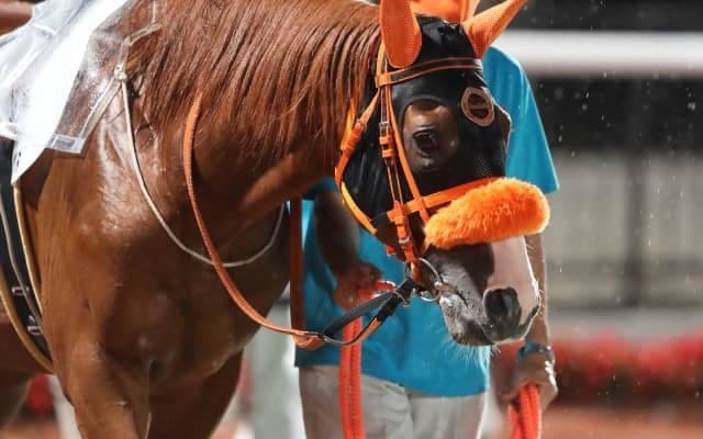 ノーブルマーズが地方登録を抹消　2018年の目黒記念2着、宝塚記念3着などの実績