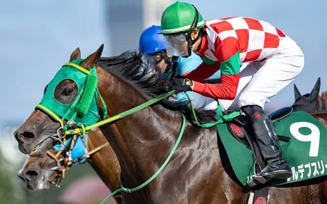 父ヘニーヒューズは全日本ダート種牡馬ランキングで首位
