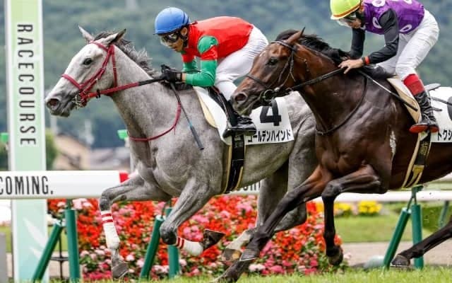 【次走】稍重の福島芝1800mを逃げ切ったゴールデンハインドは芙蓉Sへ