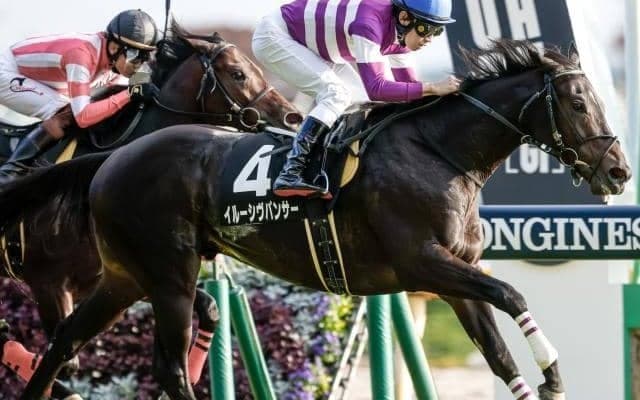 【関屋記念予想オッズ】イルーシヴパンサーが予想1番人気