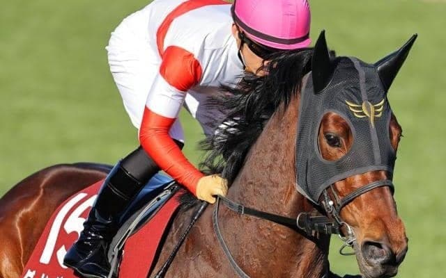 【関屋記念展望】サマーマイルシリーズ第3弾、先行馬に妙味あり