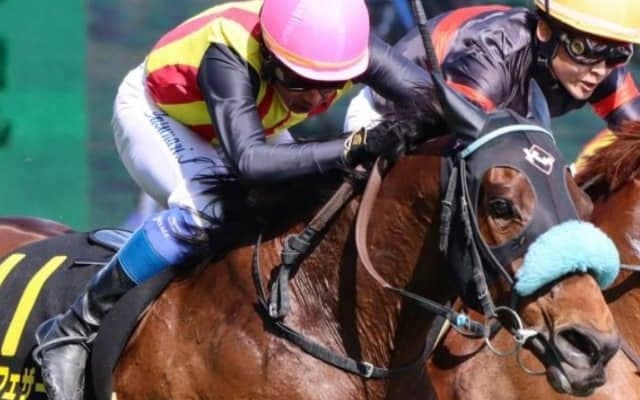 2億円馬が初タイトル狙う 昨年3着からの巻き返しなるか/小倉記念