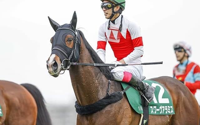 重賞3勝馬スワーヴアラミスがJRA登録を抹消  今後は大井競馬へ