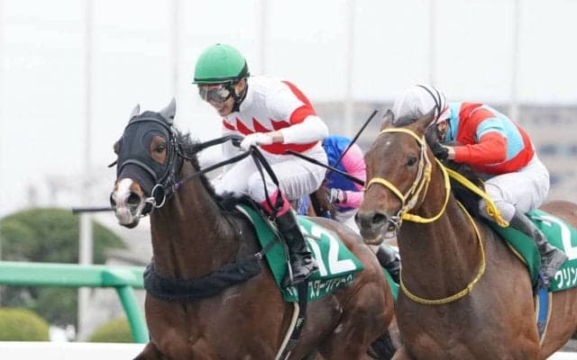 スワーヴアラミスが競走馬登録抹消