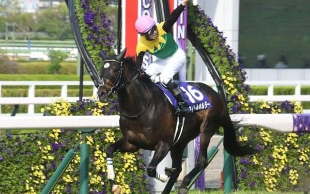 【JRA】2022年上半期JPNサラブレッドランキング発表 タイトルホルダーが全体トップ