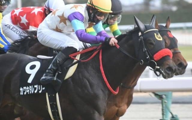 【次走】NHKマイルC“波乱の使者”カワキタレブリーは五頭連峰特別で復帰