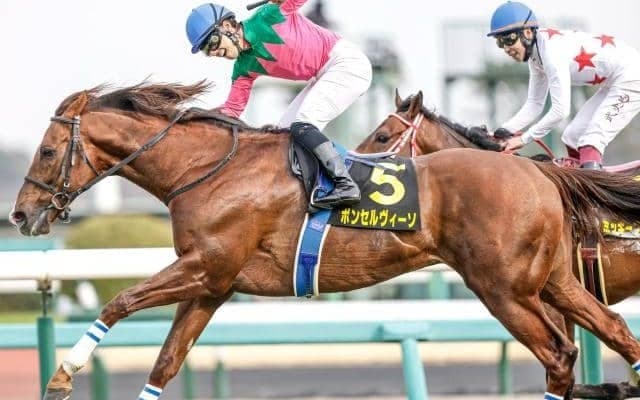 【JRA】ボンセルヴィーソが種子骨靱帯炎を発症 今後は生まれ故郷で乗馬に