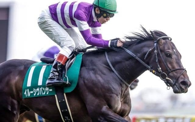 【関屋記念出走馬・騎手確定】イルーシヴパンサー＆岩田望来騎手、ダノンザキッド＆川田将雅騎手など14頭