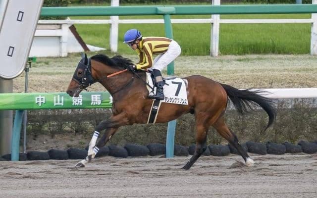 【盛岡・クラスターC出走予定馬】4連勝中ダンシングプリンス、3歳馬リメイクら