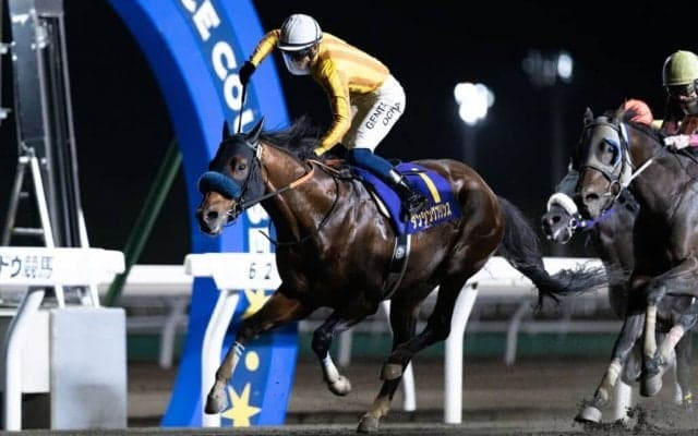 【クラスターC】JRA出走予定馬