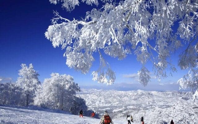 2022年版ワーケーション最新事情 〜＋スポーツでウェルビーイングな働き方へ〜