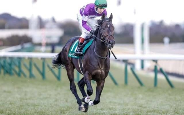 【関屋記念枠順確定】イルーシヴパンサーは1枠1番、ダノンザキッドは5枠8番