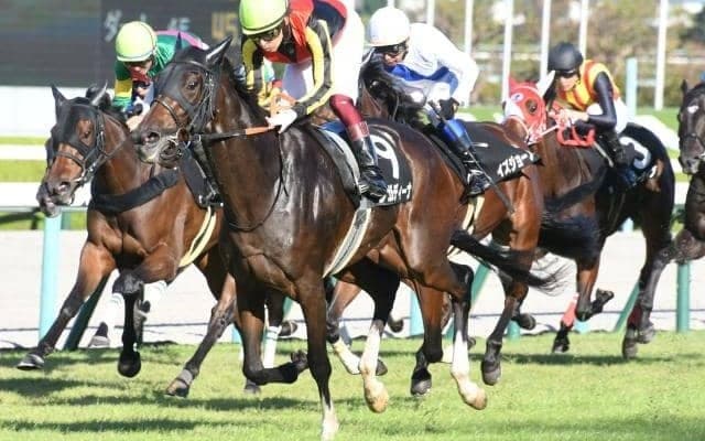 【小倉記念枠順確定】ジェラルディーナは2枠4番、マリアエレーナは1枠2番