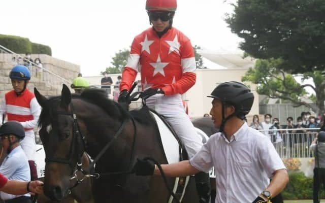 【次走】GI3勝馬ロゴタイプの甥・レッドソリッドは札幌2歳Sへ