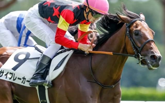 【次走】米国産馬サイブレーカーは京都2歳Sや百日草特別が次走候補　近親に今年の米G1馬ホワイトアバリオ