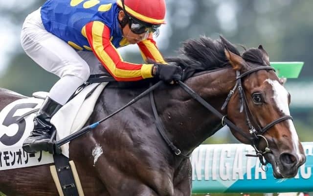 【次走】新潟芝1400mを逃げ切り初勝利を挙げたサイモンオリーブは新潟2歳Sへ