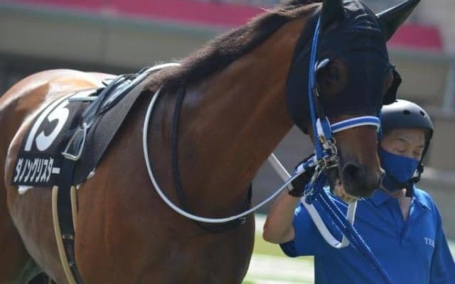【今日の注目ポイント】小倉再開初日のメインは阿蘇S　札幌で2歳OP・コスモス賞など