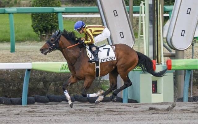 【盛岡・クラスターC枠順確定】ダンシングプリンスは1枠1番、リメイクは3枠4番