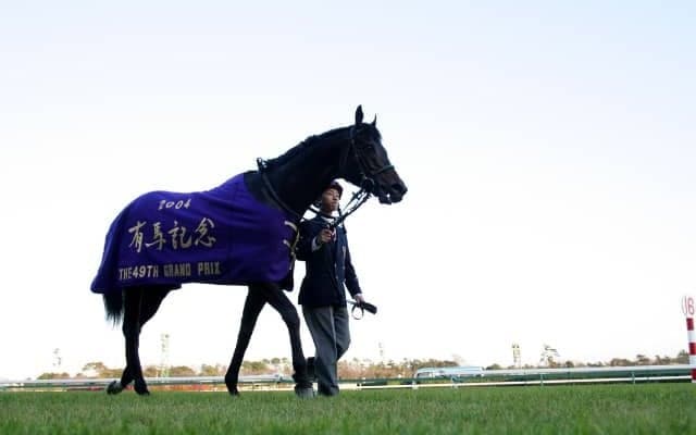 落札価格は約3億円！ ゼンノロブロイの近親馬をクールモアが米セールで購入