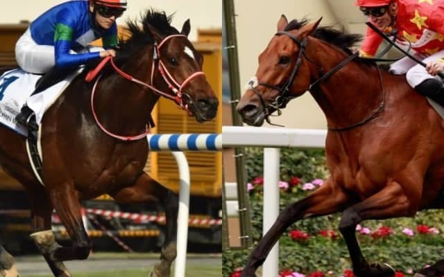 バスラットレオンは6番枠からスタート コロエバスやインスパイラルなど強豪集結/仏G1・ジャックルマロワ賞枠順確定