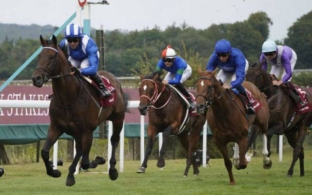 【ジャックルマロワ賞】出馬表確定