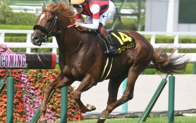 【今日の注目ポイント】新潟でサマーマイル第3弾の関屋記念、小倉でハンデGIII小倉記念