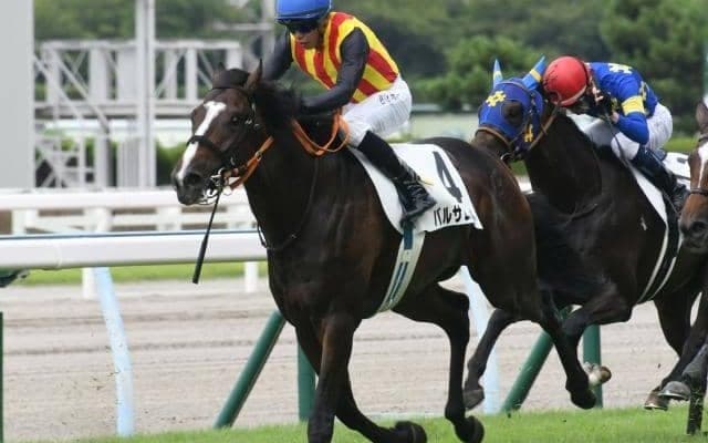 【小倉5R新馬戦結果】C.ホー騎手騎乗バルサムノートが人気に応え白星発進
