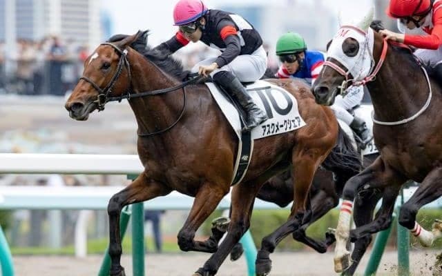 【札幌5R新馬戦結果】ファンタジストの全弟アスクメークシェアが内から差し切る
