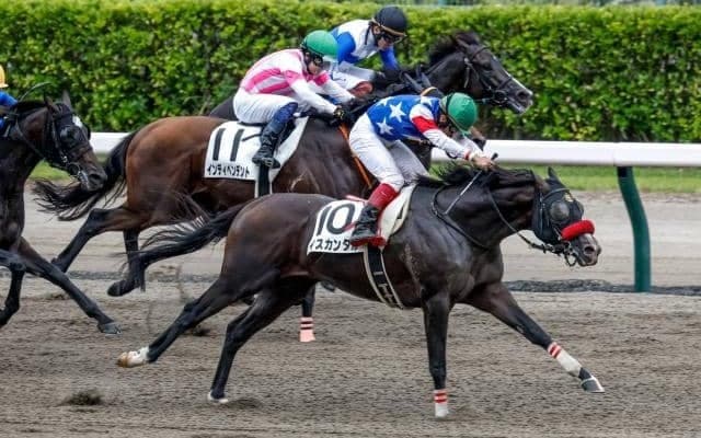 100円が187万円に！ 新潟8Rで人気薄の6枠2頭が激走
