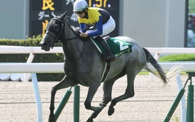 【小倉記念結果】マリアエレーナが5馬身差の圧勝で重賞初V、松山弘平騎手は連覇