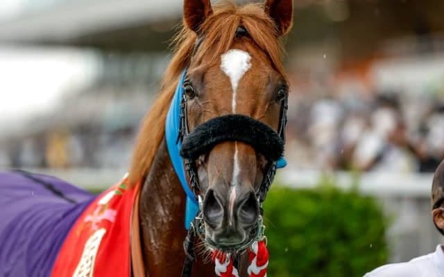 霜降り粗品＆ジャンポケ斉藤が自信の◎指名 ウインカーネリアンが3連勝で重賞初制覇/関屋記念