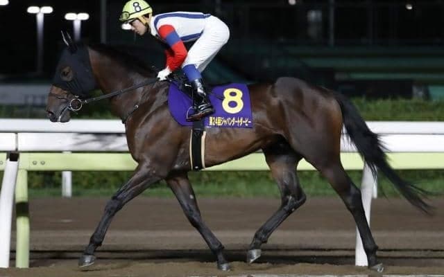 【大井・黒潮盃枠順確定】JDDで地方馬最先着を果たしたクライオジェニックは6枠8番、良血馬ライアンは2枠2番