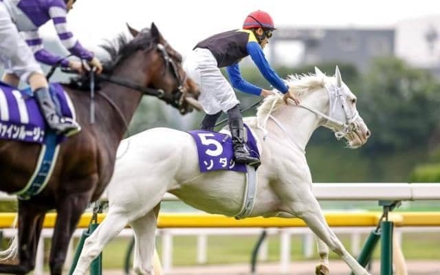 夏競馬の大一番・札幌記念で豪華メンバーが競演/今週の競馬界の見どころ