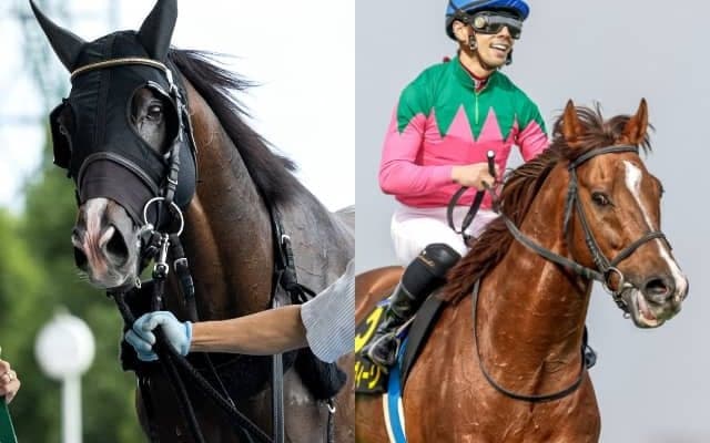 【先週のJRA抹消馬】GII2着馬ヴァルコス、重賞3勝スワーヴアラミス、GI3着2回のボンセルヴィーソなど