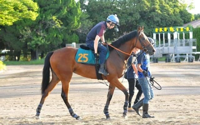 ブレイディヴェーグが福永祐一騎手でデビュー/関東馬メイクデビュー情報