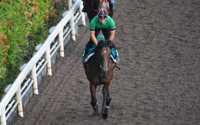 三冠牝馬ジェンティルドンナの半弟、イストロスがダートで初陣迎える/関西馬メイクデビュー情報
