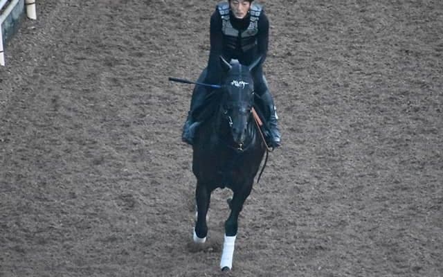 【北九州記念想定騎手】ナムラクレアは浜中俊騎手、タイセイビジョンは川田将雅騎手