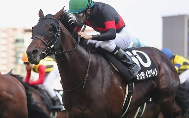 【AI予想・札幌記念】先行激化で「穴馬」台頭!? 得意コースで堅実な末脚が炸裂か