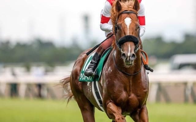 関屋記念重賞初制覇 今後もハイレベルなパフォーマンスが期待できそうなウインカーネリアン