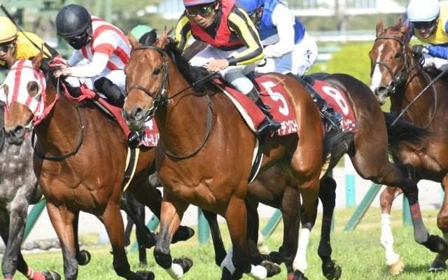 【札幌記念展望】スピードが要求されるレース、あの馬の大駆けを期待したい