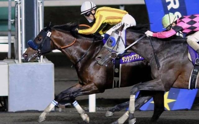 【クラスターC注目馬】今年のJBCスプリントと同条件で行われる夏の名物交流重賞